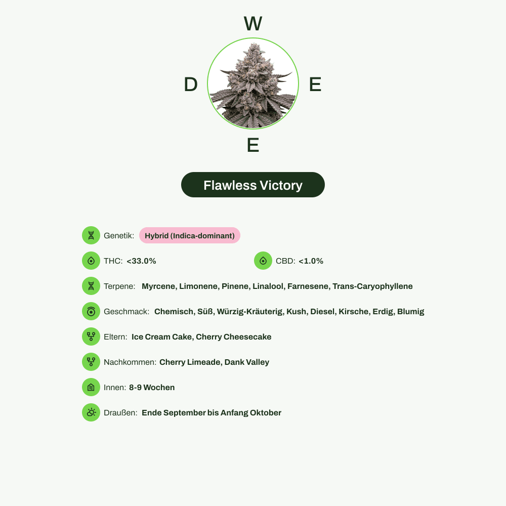 Infografik über THC-Gehalt, CBD-Gehalt, Terpene, Wirkungen, Geschmack von Flawless Victory