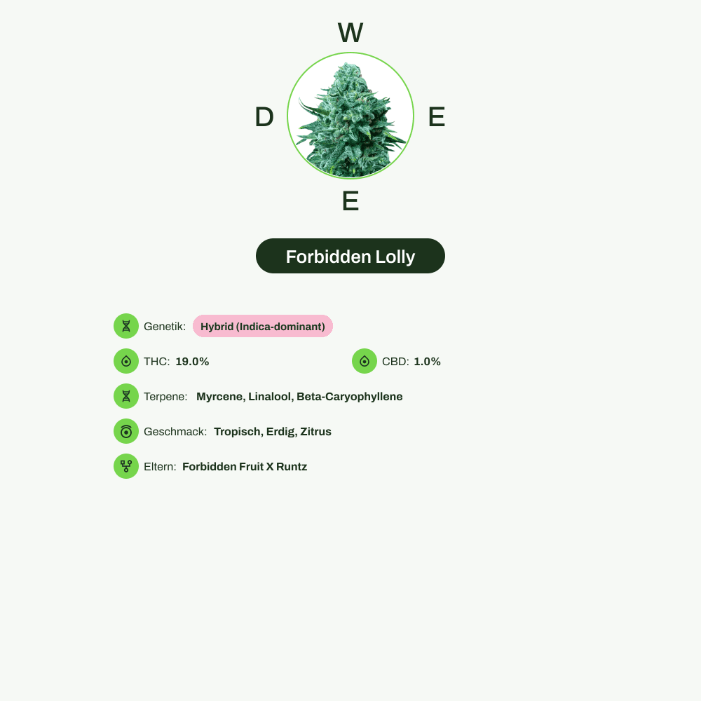 Infografik über THC-Gehalt, CBD-Gehalt, Terpene, Wirkungen, Geschmack von Forbidden Lolly
