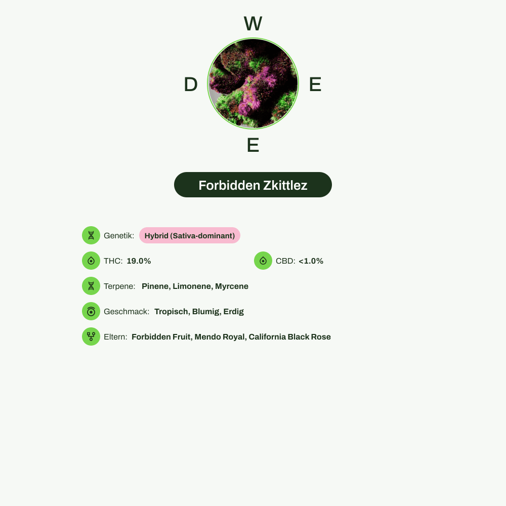Infografik über THC-Gehalt, CBD-Gehalt, Terpene, Wirkungen, Geschmack von Forbidden Zkittlez