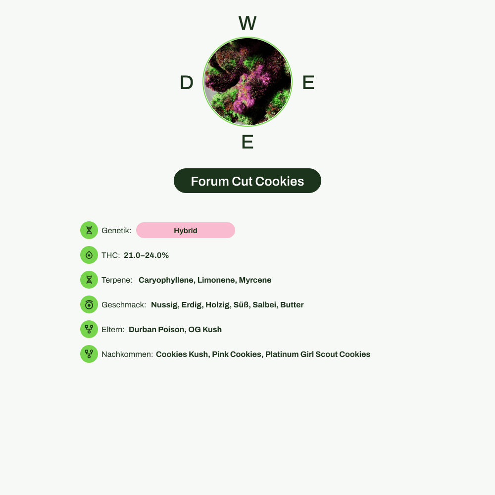 Infografik über THC-Gehalt, CBD-Gehalt, Terpene, Wirkungen, Geschmack von Forum Cut Cookies