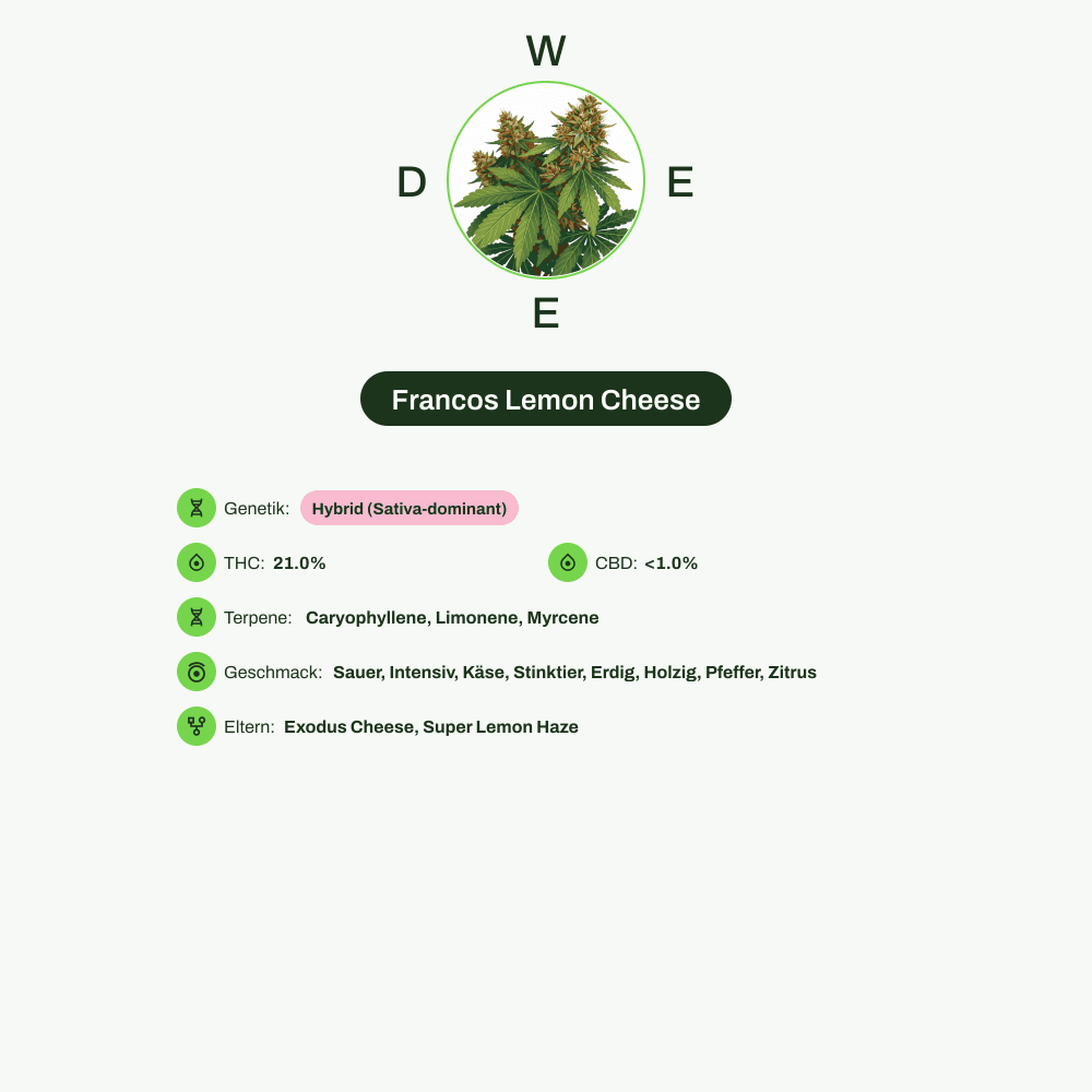 Infografik über THC-Gehalt, CBD-Gehalt, Terpene, Wirkungen, Geschmack von Francos Lemon Cheese