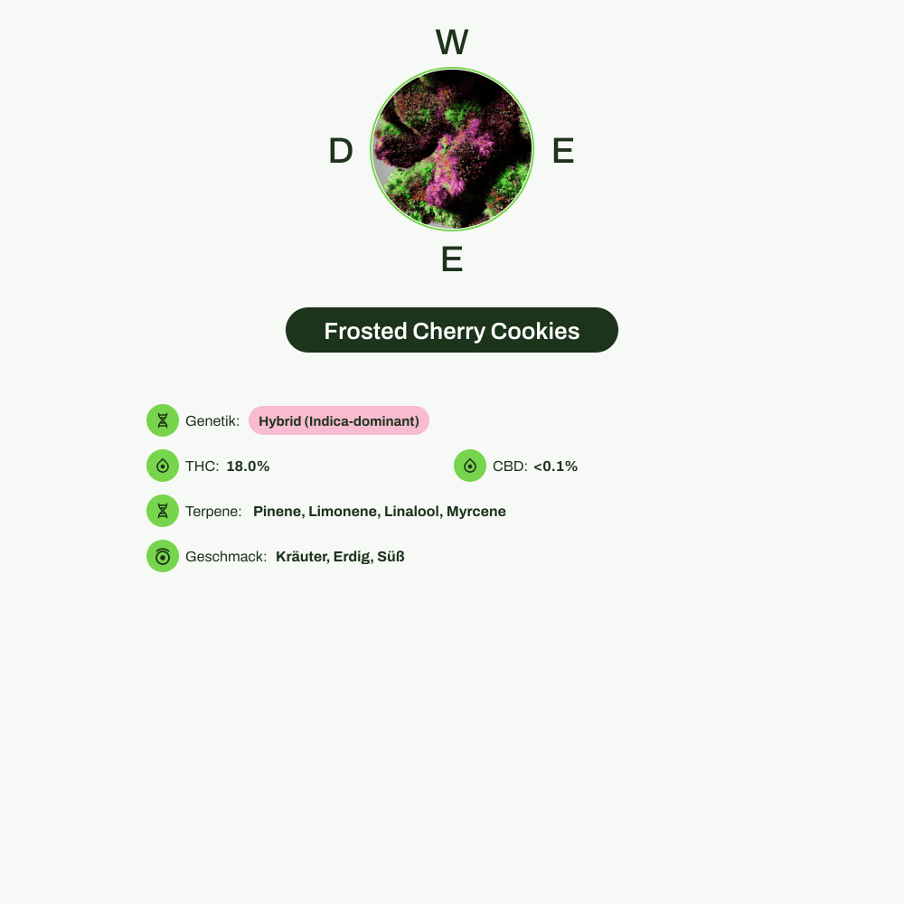Infografik über THC-Gehalt, CBD-Gehalt, Terpene, Wirkungen, Geschmack von Frosted Cherry Cookies