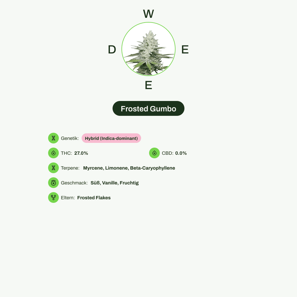 Infografik über THC-Gehalt, CBD-Gehalt, Terpene, Wirkungen, Geschmack von Frosted Gumbo