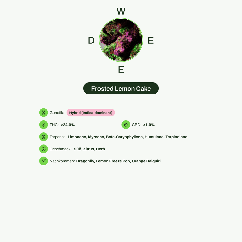 Infografik über THC-Gehalt, CBD-Gehalt, Terpene, Wirkungen, Geschmack von Frosted Lemon Cake