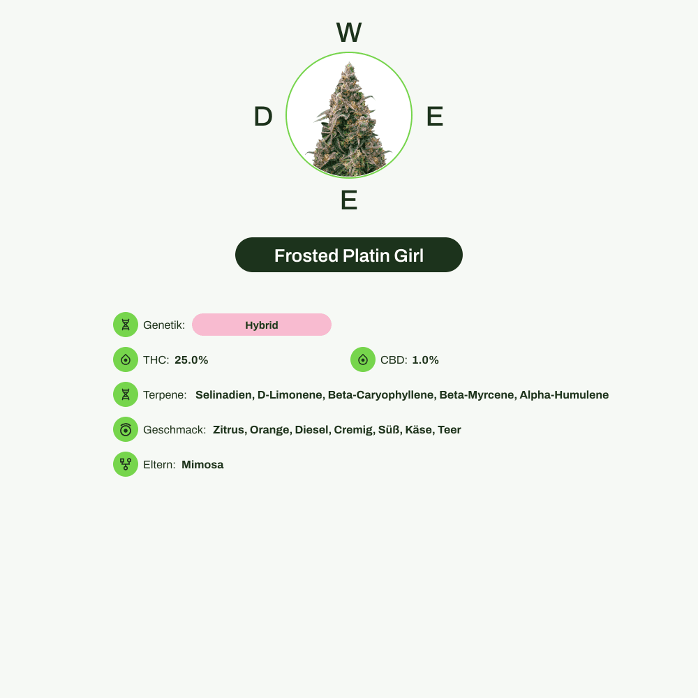 Infografik über THC-Gehalt, CBD-Gehalt, Terpene, Wirkungen, Geschmack von Frosted Platin Girl