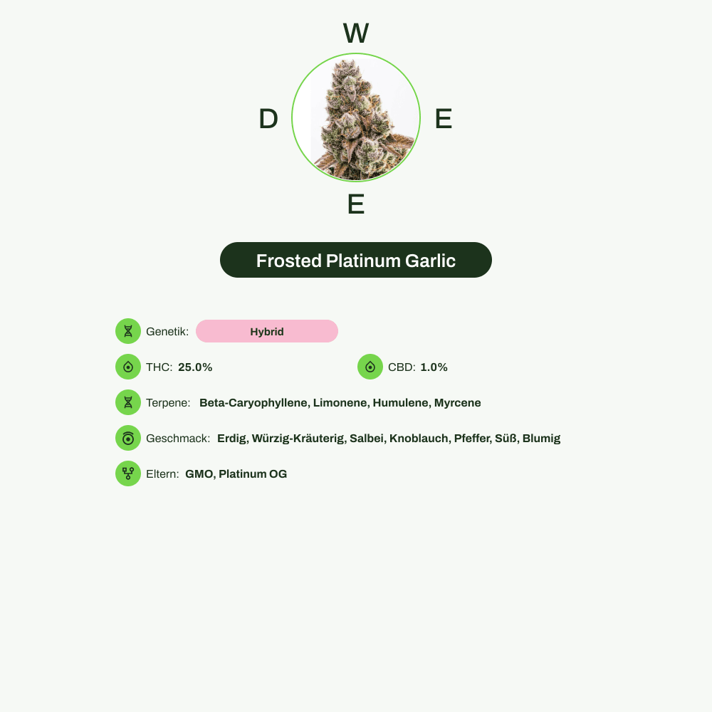 Infografik über THC-Gehalt, CBD-Gehalt, Terpene, Wirkungen, Geschmack von Frosted Platinum Garlic