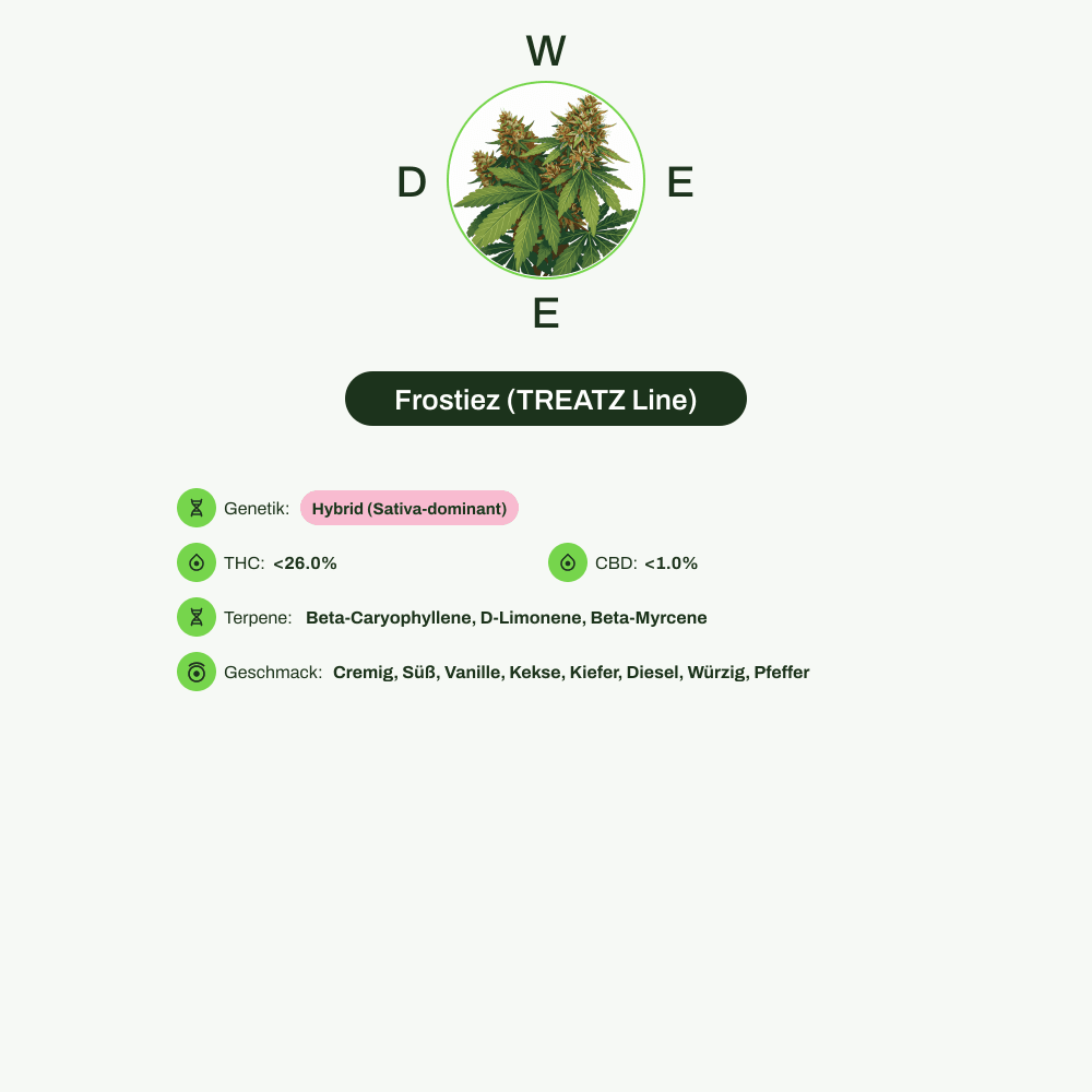 Infografik über THC-Gehalt, CBD-Gehalt, Terpene, Wirkungen, Geschmack von Frostiez (TREATZ Line)