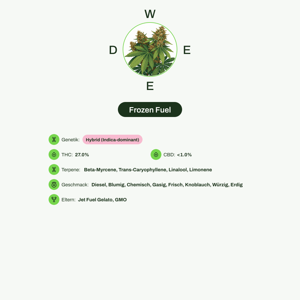 Infografik über THC-Gehalt, CBD-Gehalt, Terpene, Wirkungen, Geschmack von Frozen Fuel