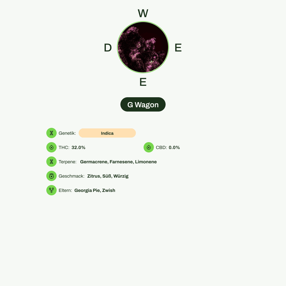 Infografik über THC-Gehalt, CBD-Gehalt, Terpene, Wirkungen, Geschmack von G Wagon