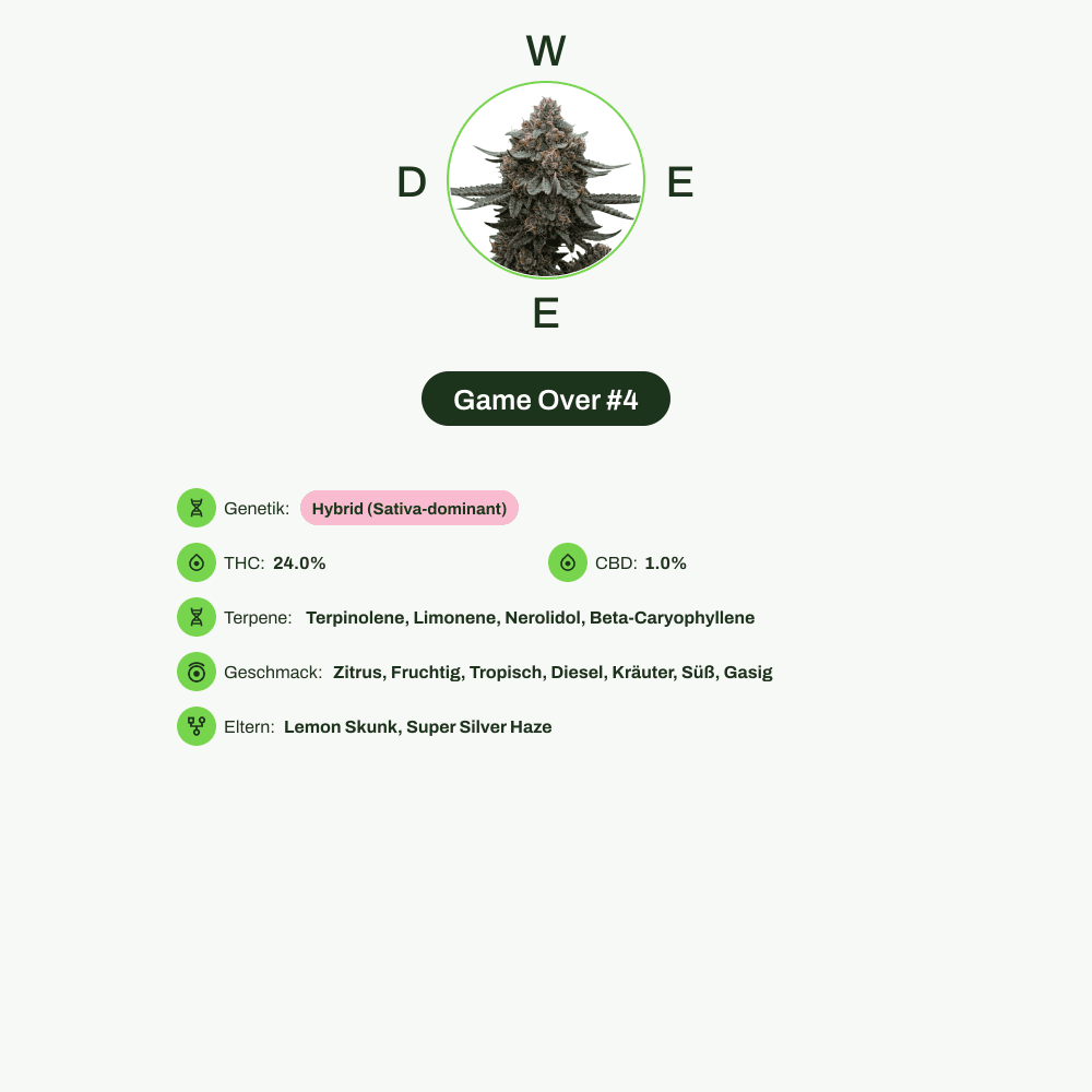 Infografik über THC-Gehalt, CBD-Gehalt, Terpene, Wirkungen, Geschmack von Game Over #4