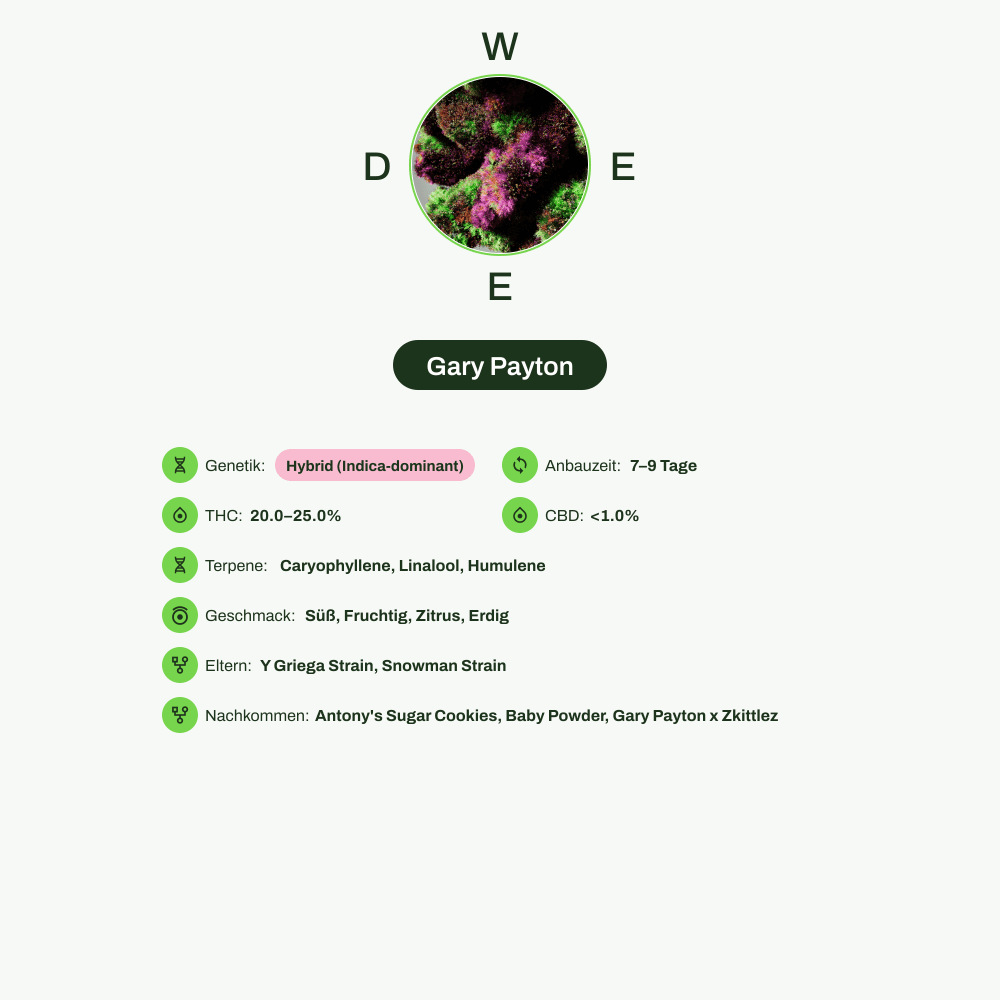 Infografik über THC-Gehalt, CBD-Gehalt, Terpene, Wirkungen, Geschmack von Gary Payton
