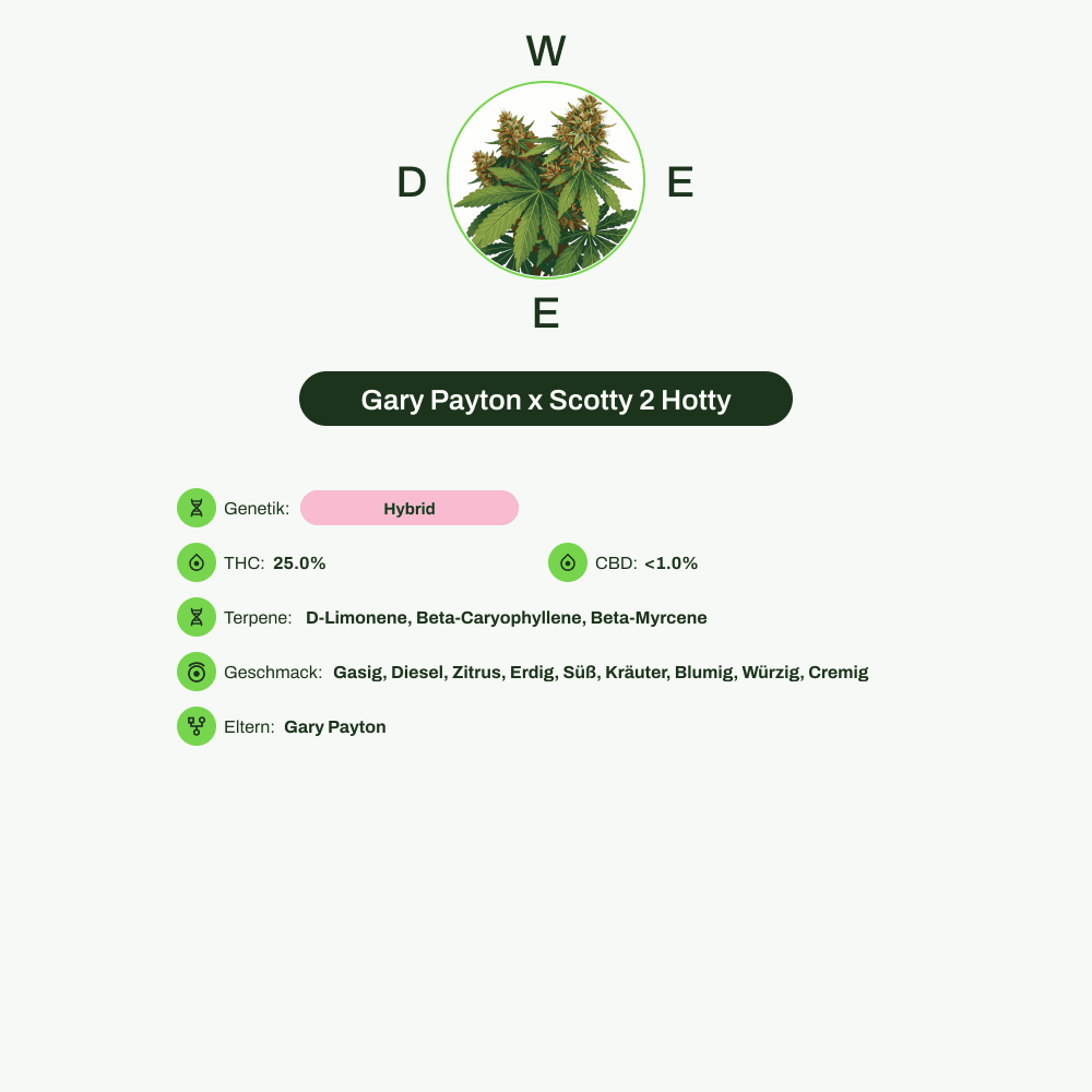 Infografik über THC-Gehalt, CBD-Gehalt, Terpene, Wirkungen, Geschmack von Gary Payton x Scotty 2 Hotty