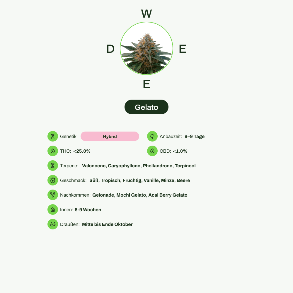 Infografik über THC-Gehalt, CBD-Gehalt, Terpene, Wirkungen, Geschmack von Gelato