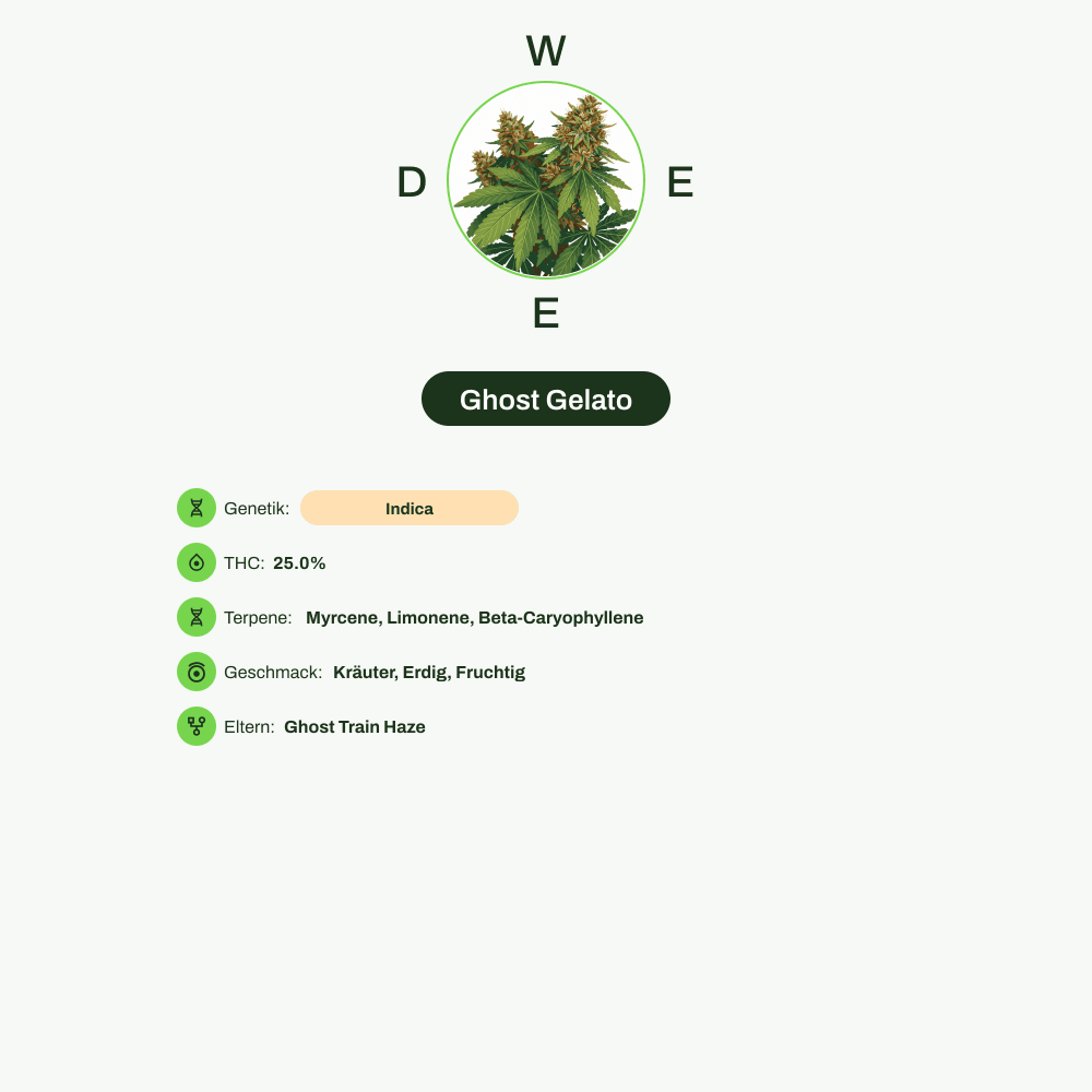 Infografik über THC-Gehalt, CBD-Gehalt, Terpene, Wirkungen, Geschmack von Ghost Gelato