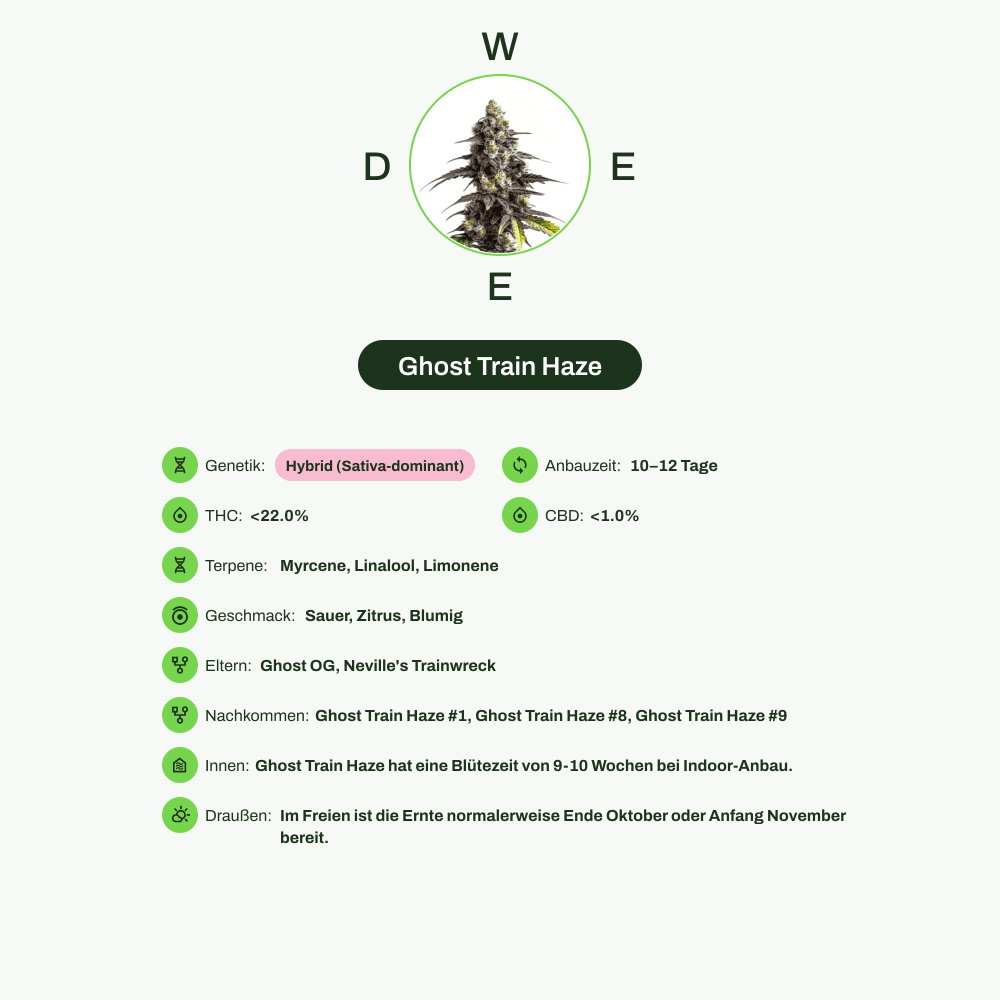 Infografik über THC-Gehalt, CBD-Gehalt, Terpene, Wirkungen, Geschmack von Ghost Train Haze