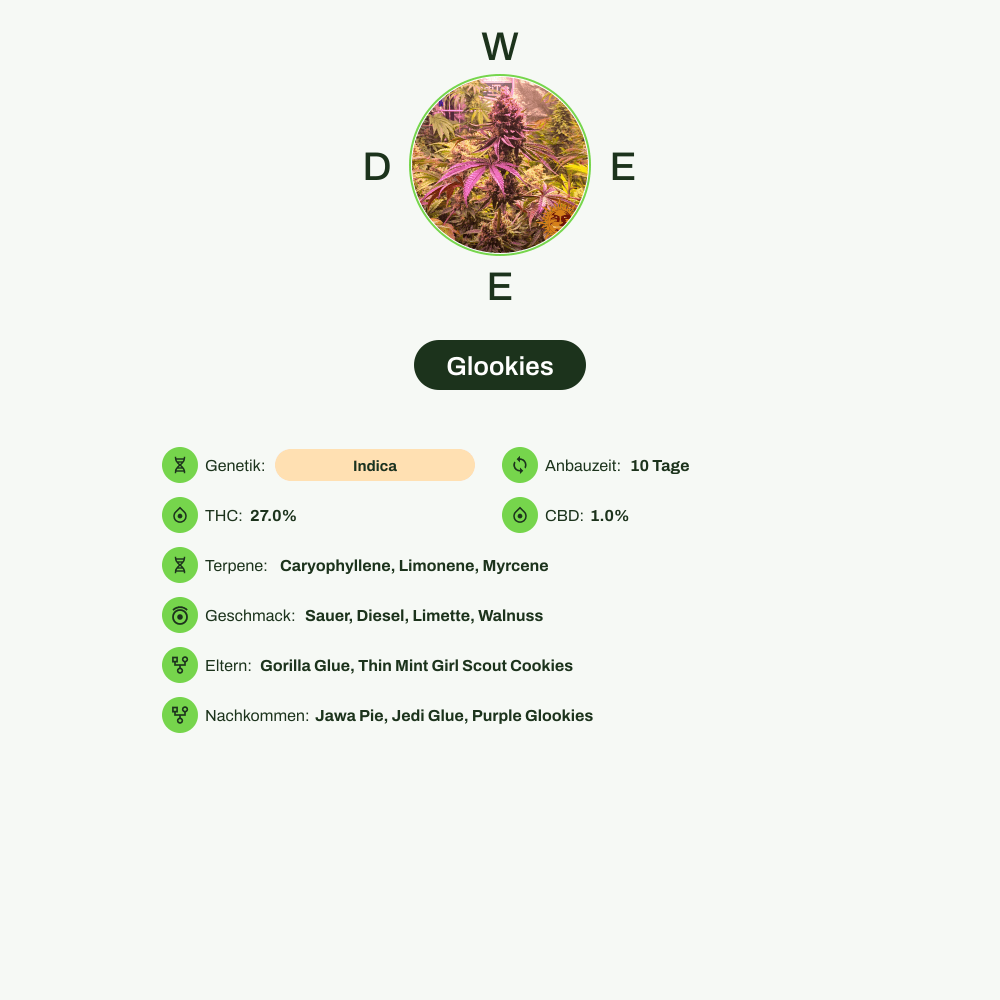 Infografik über THC-Gehalt, CBD-Gehalt, Terpene, Wirkungen, Geschmack von Glookies