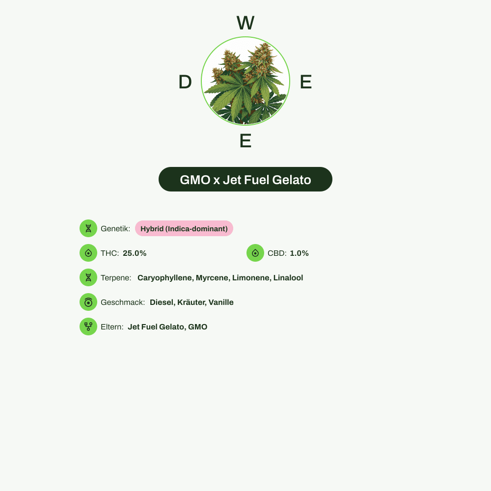 Infografik über THC-Gehalt, CBD-Gehalt, Terpene, Wirkungen, Geschmack von GMO x Jet Fuel Gelato