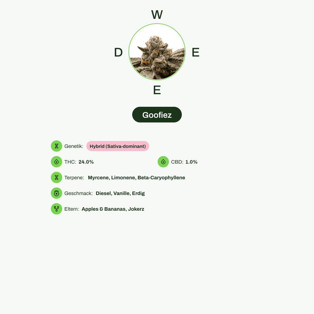 Infografik über THC-Gehalt, CBD-Gehalt, Terpene, Wirkungen, Geschmack von Goofiez