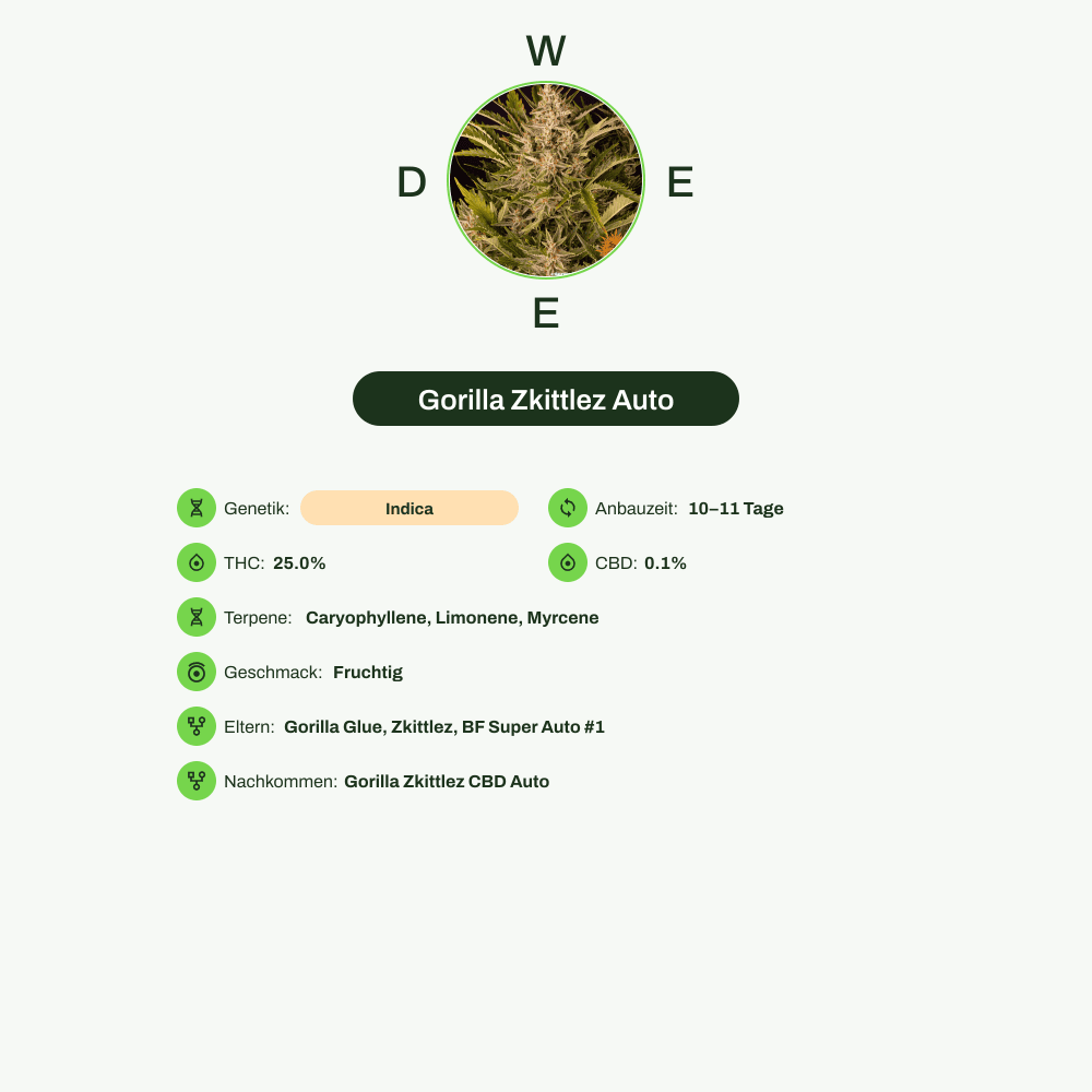 Infografik über THC-Gehalt, CBD-Gehalt, Terpene, Wirkungen, Geschmack von Gorilla Zkittlez Auto