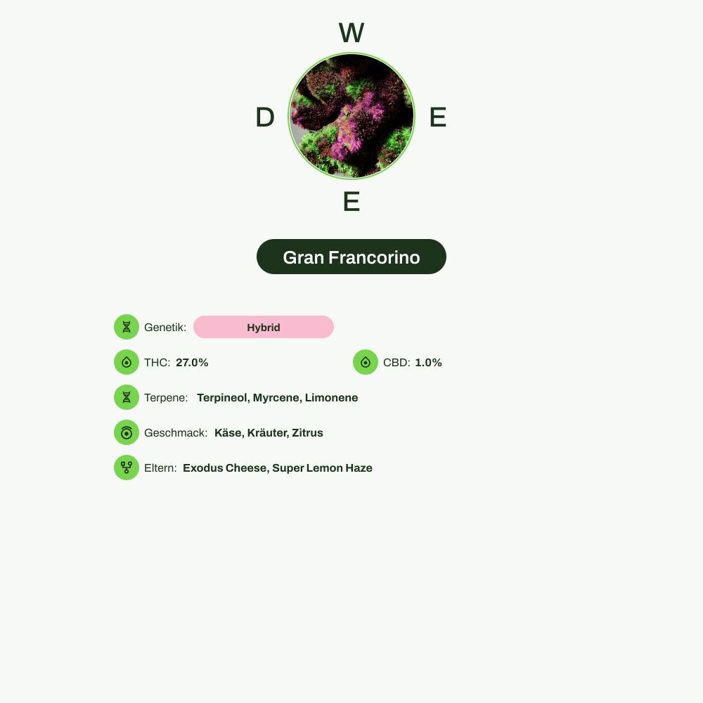 Infografik über THC-Gehalt, CBD-Gehalt, Terpene, Wirkungen, Geschmack von Gran Francorino