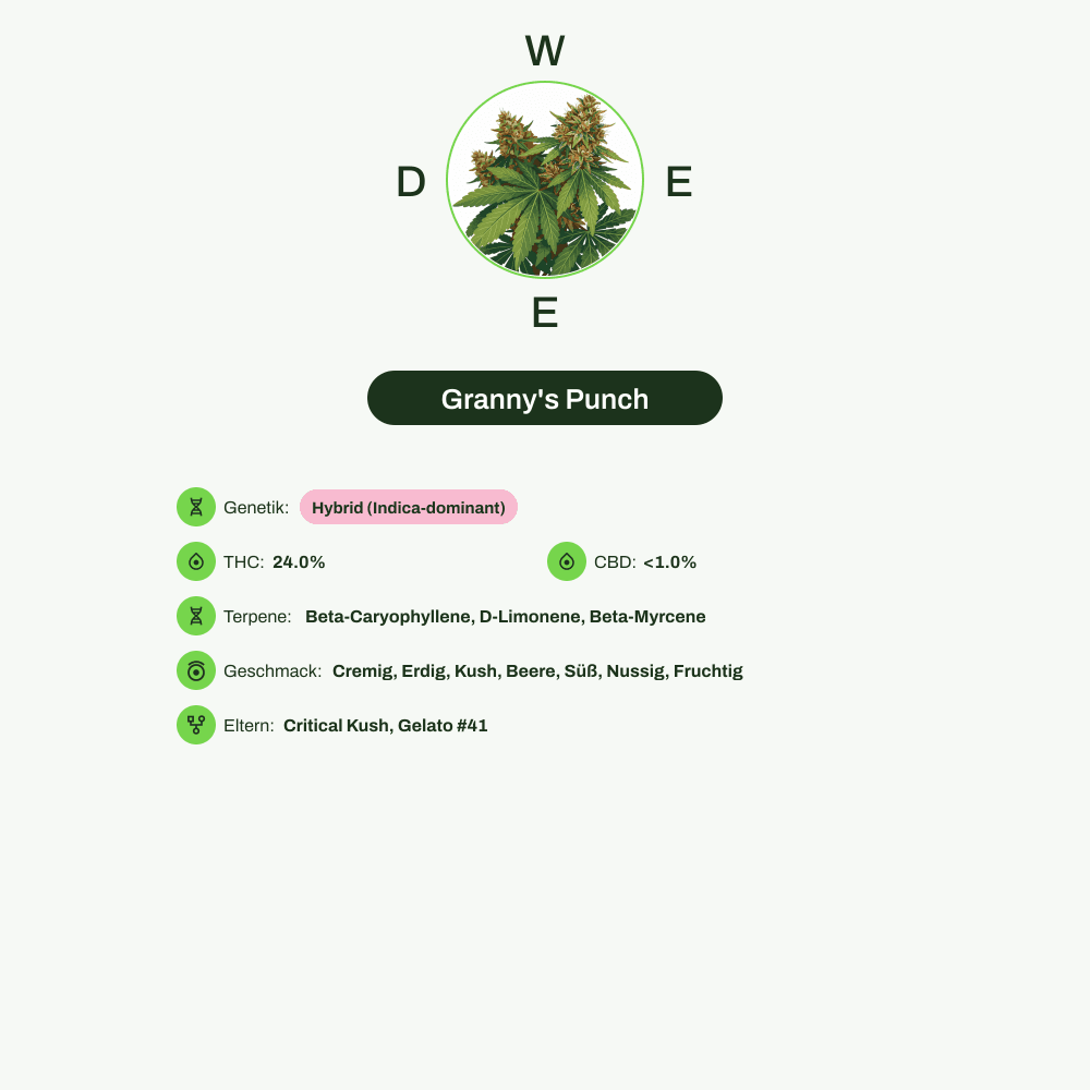 Infografik über THC-Gehalt, CBD-Gehalt, Terpene, Wirkungen, Geschmack von Granny's Punch