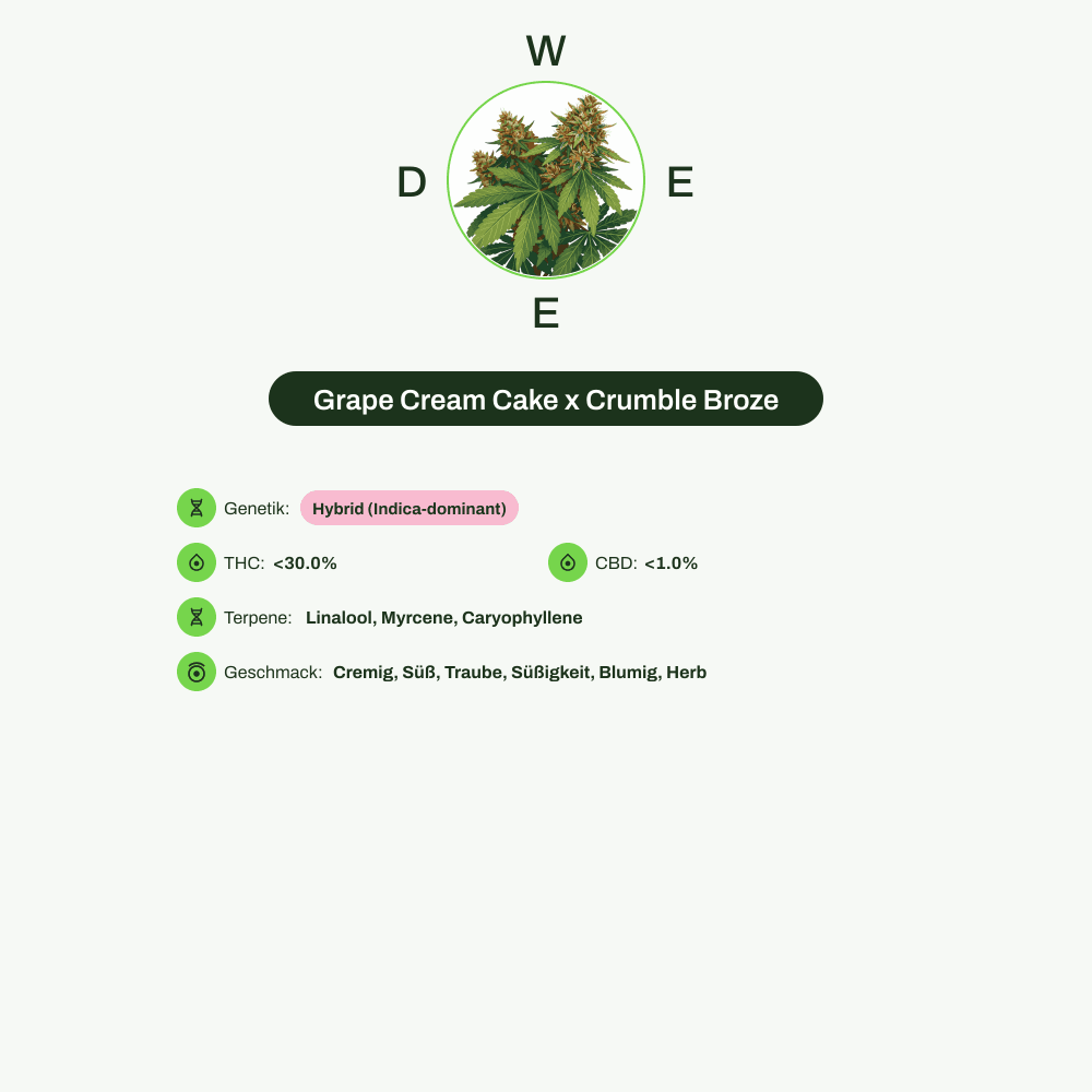 Infografik über THC-Gehalt, CBD-Gehalt, Terpene, Wirkungen, Geschmack von Grape Cream Cake x Crumble Broze