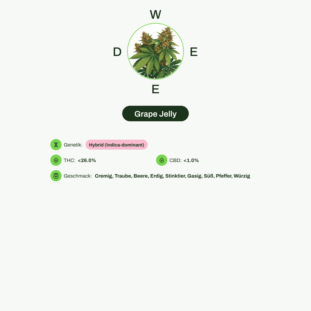 Infografik über THC-Gehalt, CBD-Gehalt, Wirkungen, Geschmack von Grape Jelly