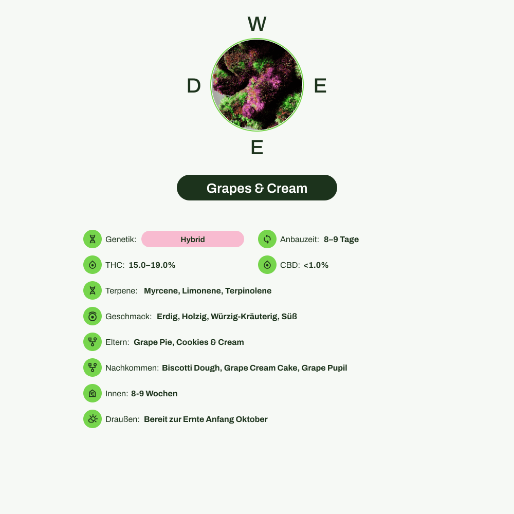 Infografik über THC-Gehalt, CBD-Gehalt, Terpene, Wirkungen, Geschmack von Grapes & Cream