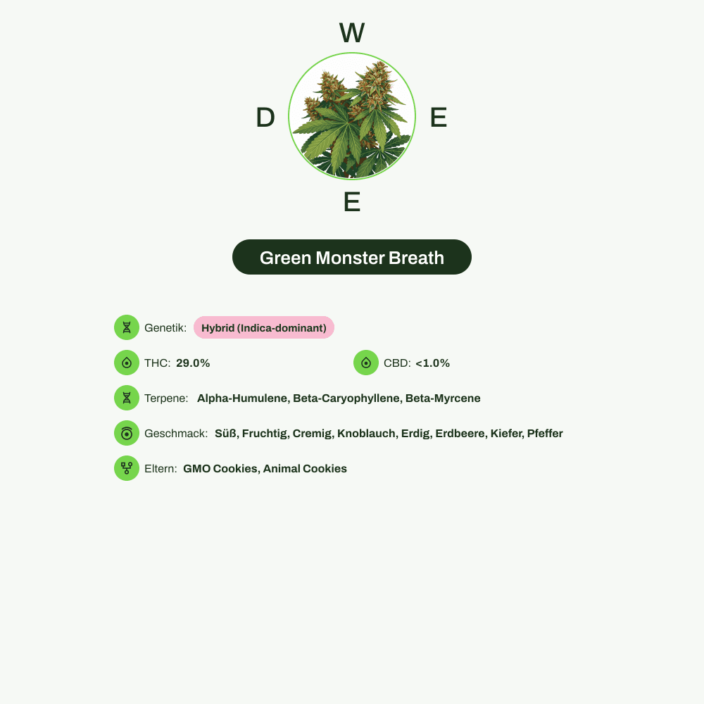 Infografik über THC-Gehalt, CBD-Gehalt, Terpene, Wirkungen, Geschmack von Green Monster Breath