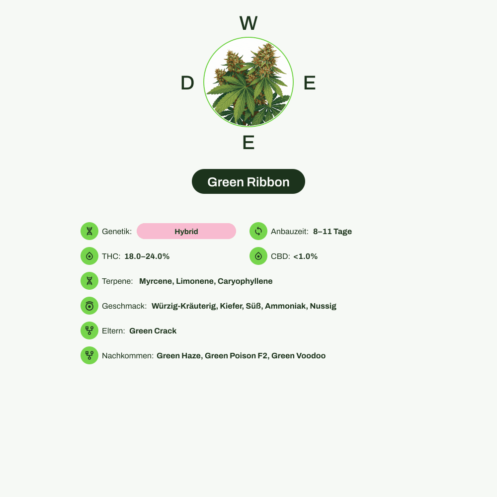 Infografik über THC-Gehalt, CBD-Gehalt, Terpene, Wirkungen, Geschmack von Green Ribbon