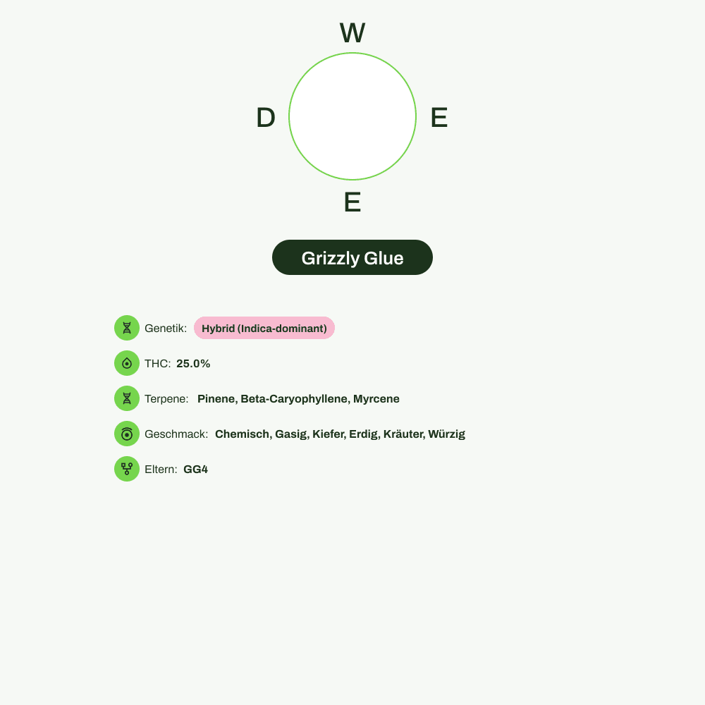 Infografik über THC-Gehalt, CBD-Gehalt, Terpene, Wirkungen, Geschmack von Grizzly Glue