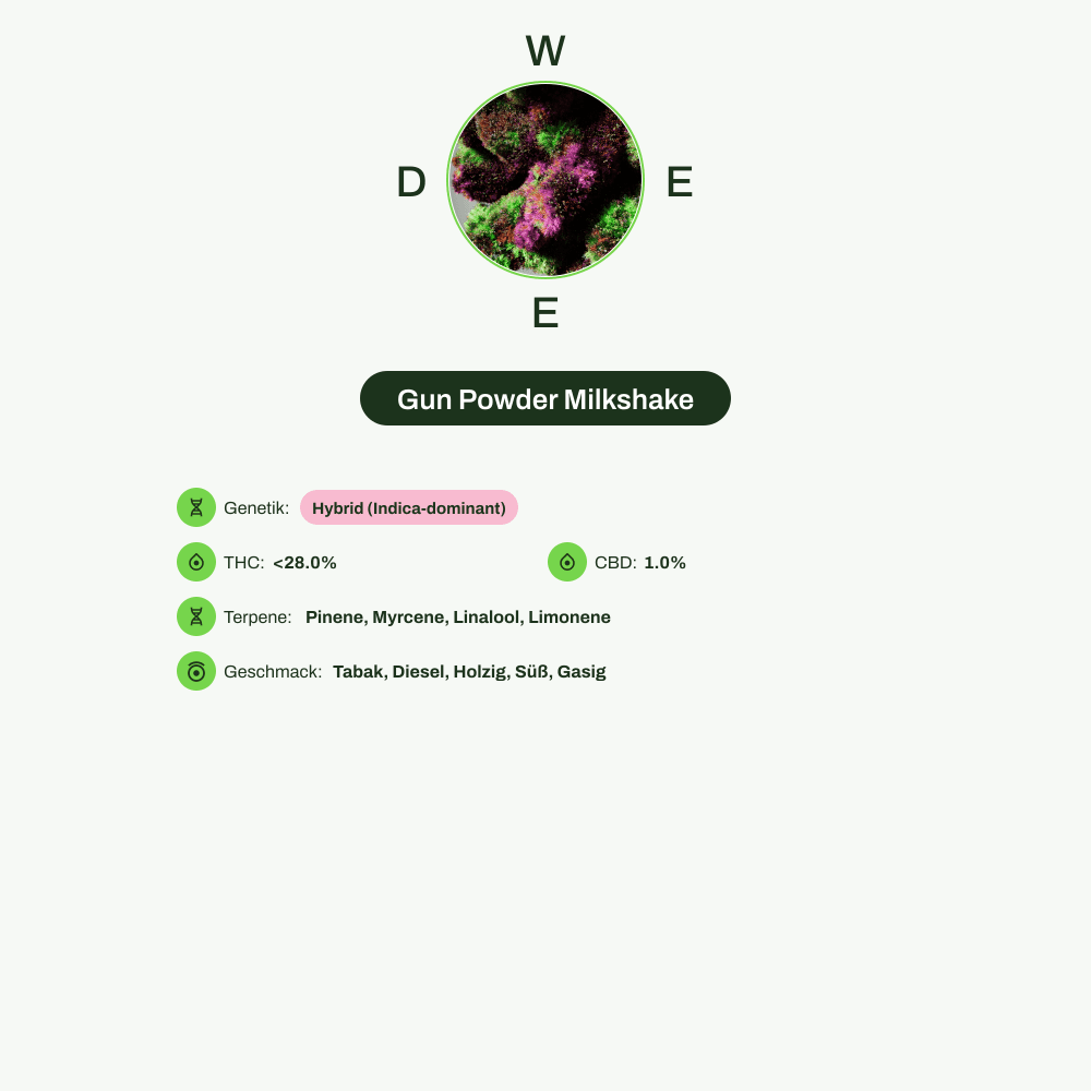 Infografik über THC-Gehalt, CBD-Gehalt, Terpene, Wirkungen, Geschmack von Gun Powder Milkshake