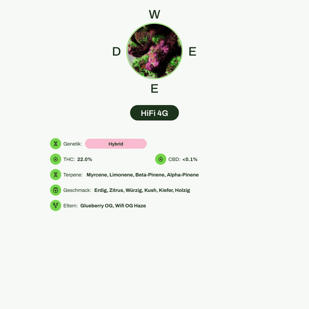Infografik über THC-Gehalt, CBD-Gehalt, Terpene, Wirkungen, Geschmack von HiFi 4G