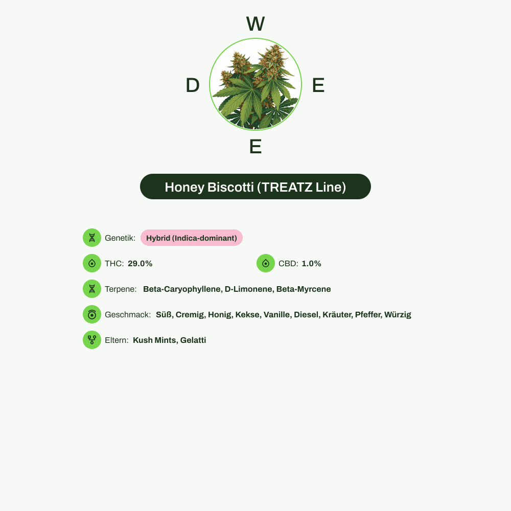 Infografik über THC-Gehalt, CBD-Gehalt, Terpene, Wirkungen, Geschmack von Honey Biscotti (TREATZ Line)