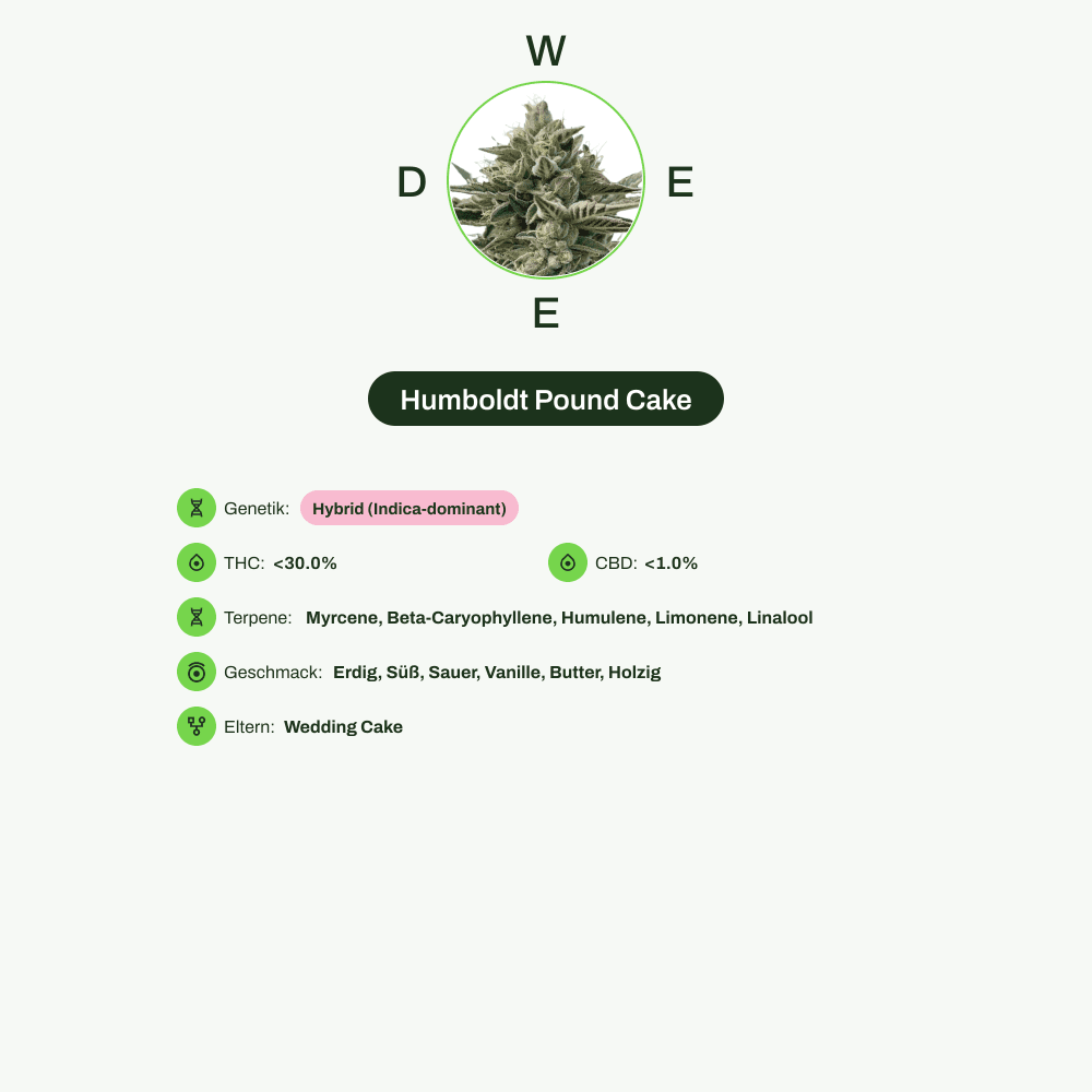 Infografik über THC-Gehalt, CBD-Gehalt, Terpene, Wirkungen, Geschmack von Humboldt Pound Cake