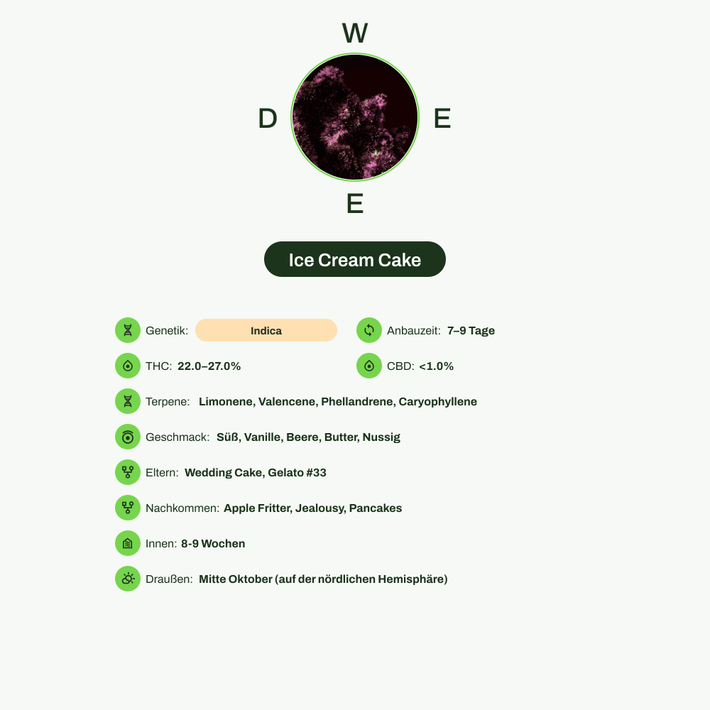 Infografik über THC-Gehalt, CBD-Gehalt, Terpene, Wirkungen, Geschmack von Ice Cream Cake