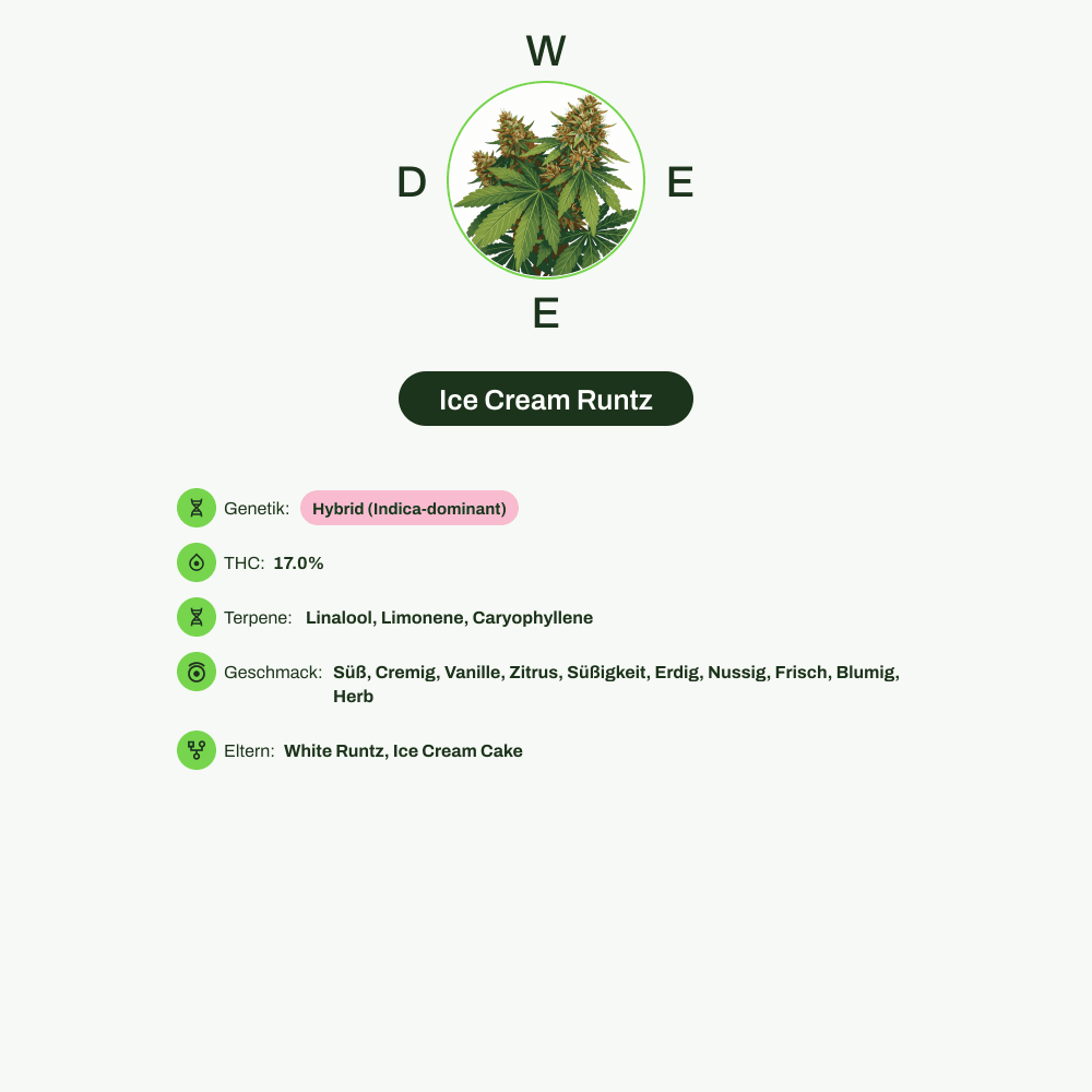 Infografik über THC-Gehalt, CBD-Gehalt, Terpene, Wirkungen, Geschmack von Ice Cream Runtz