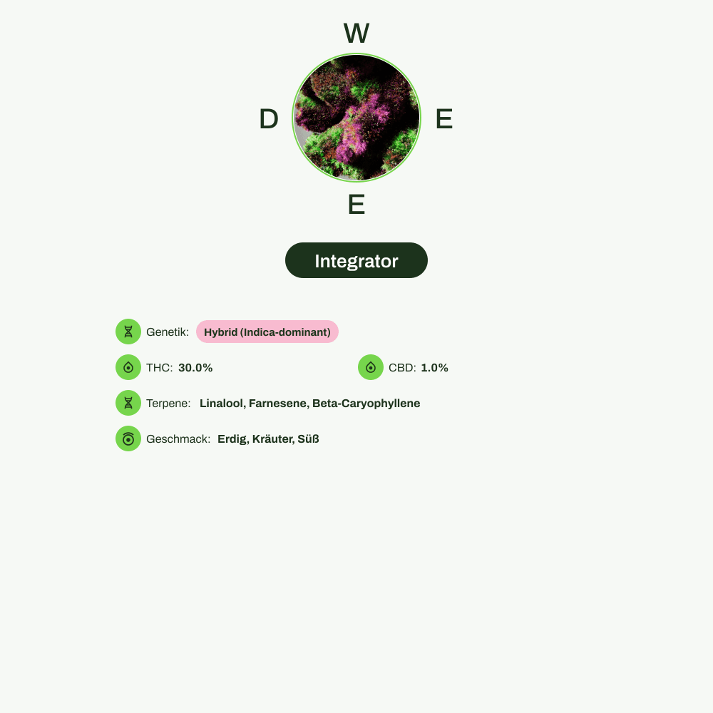 Infografik über THC-Gehalt, CBD-Gehalt, Terpene, Wirkungen, Geschmack von Integrator