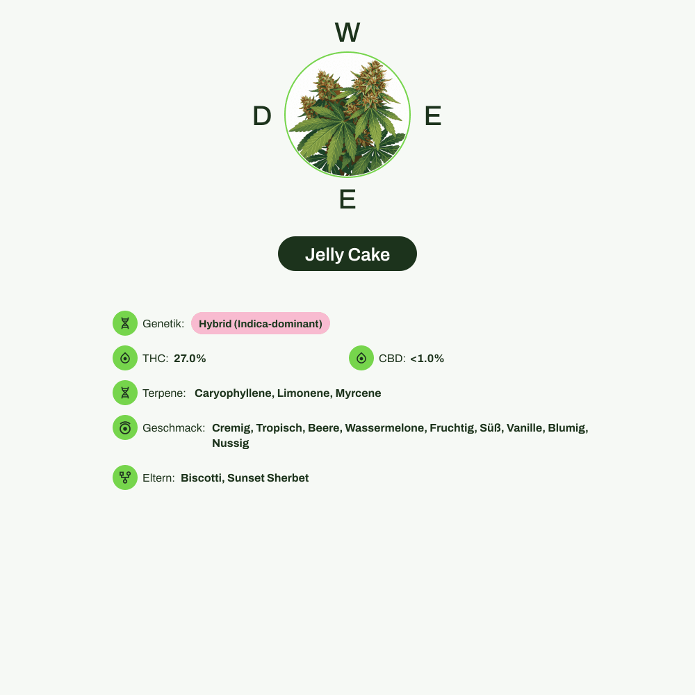 Infografik über THC-Gehalt, CBD-Gehalt, Terpene, Wirkungen, Geschmack von Jelly Cake