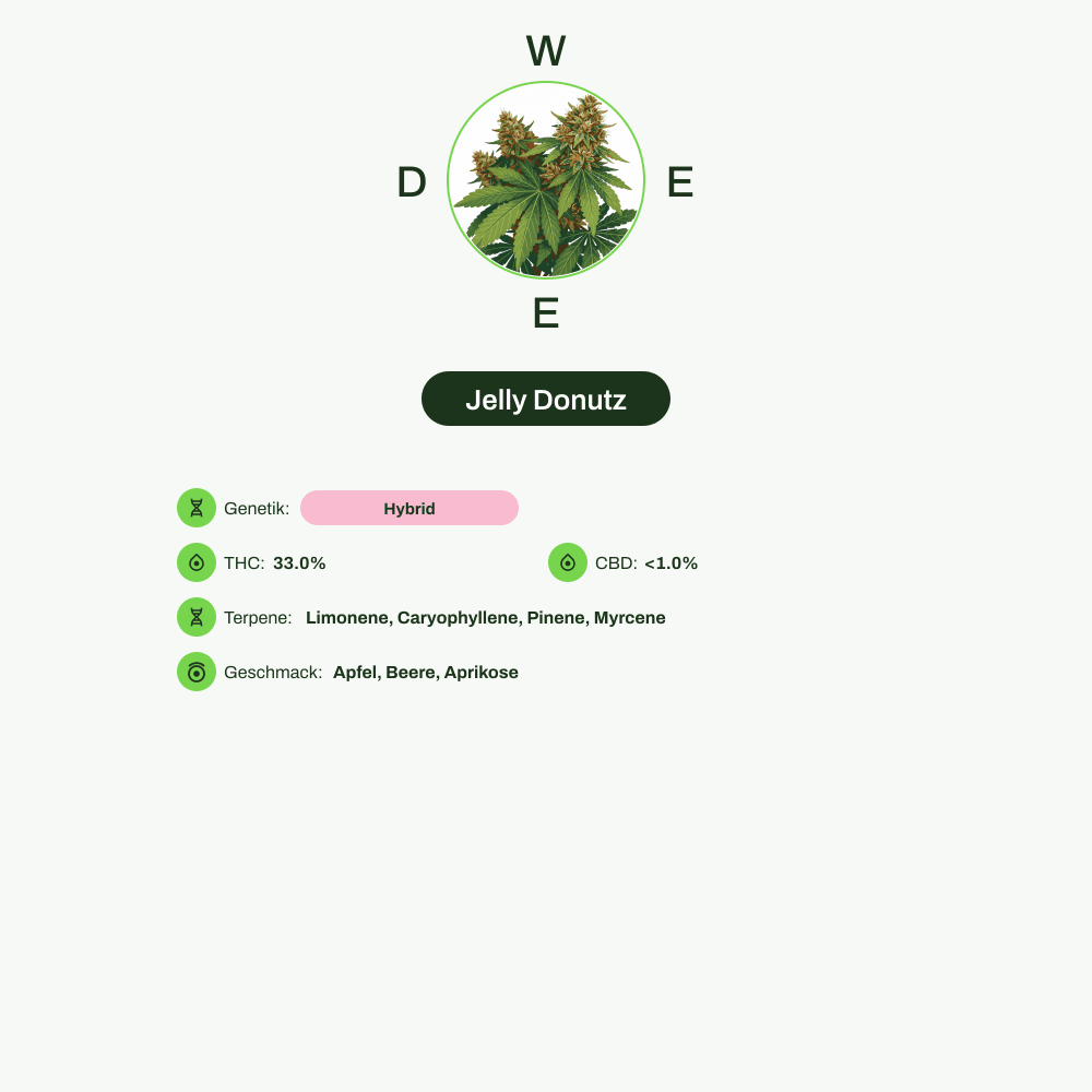 Infografik über THC-Gehalt, CBD-Gehalt, Terpene, Wirkungen, Geschmack von Jelly Donutz