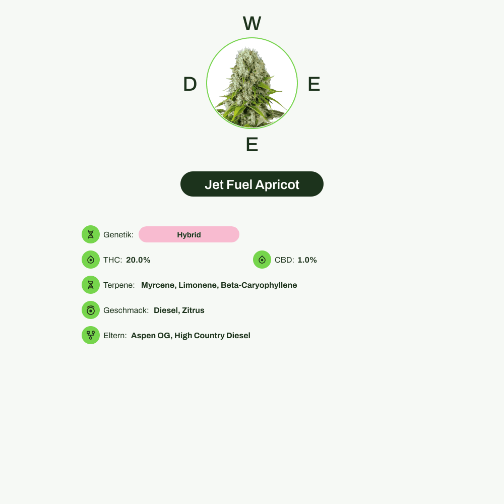 Infografik über THC-Gehalt, CBD-Gehalt, Terpene, Wirkungen, Geschmack von Jet Fuel Apricot