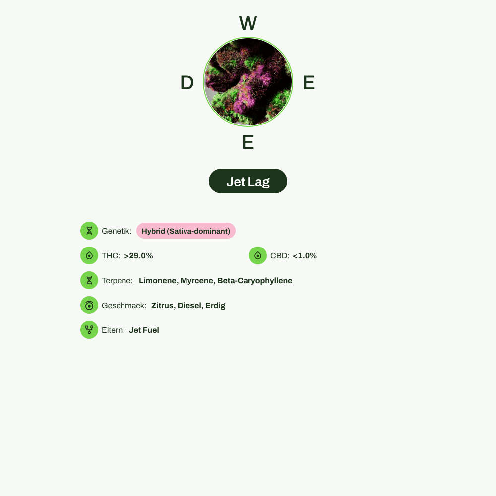 Infografik über THC-Gehalt, CBD-Gehalt, Terpene, Wirkungen, Geschmack von Jet Lag