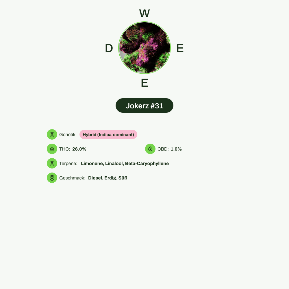 Infografik über THC-Gehalt, CBD-Gehalt, Terpene, Wirkungen, Geschmack von Jokerz #31