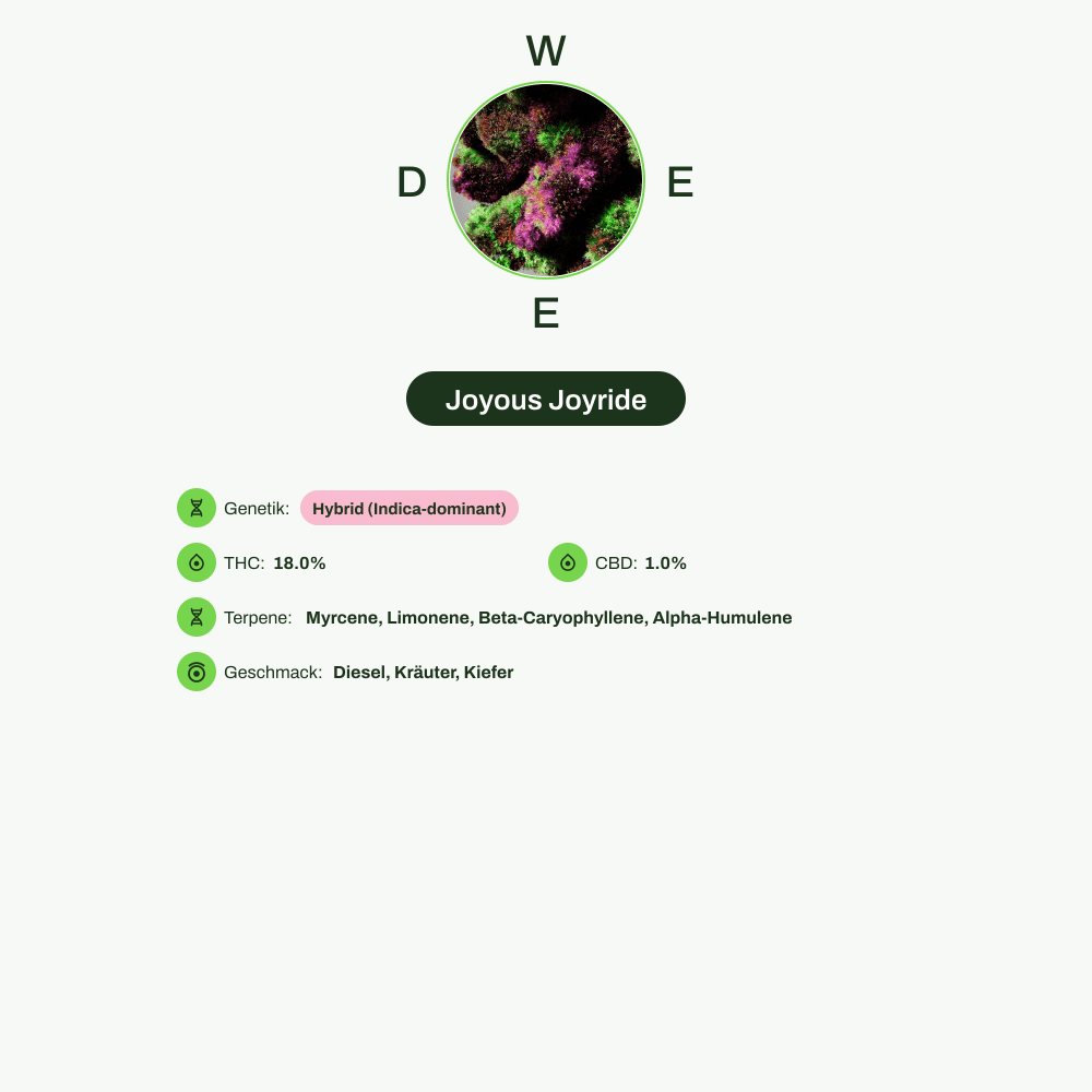 Infografik über THC-Gehalt, CBD-Gehalt, Terpene, Wirkungen, Geschmack von Joyous Joyride