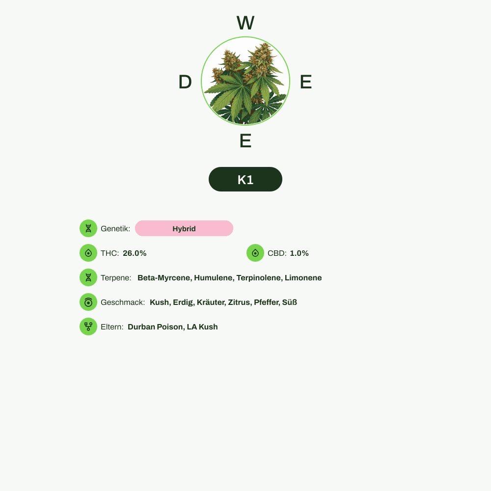 Infografik über THC-Gehalt, CBD-Gehalt, Terpene, Wirkungen, Geschmack von K1
