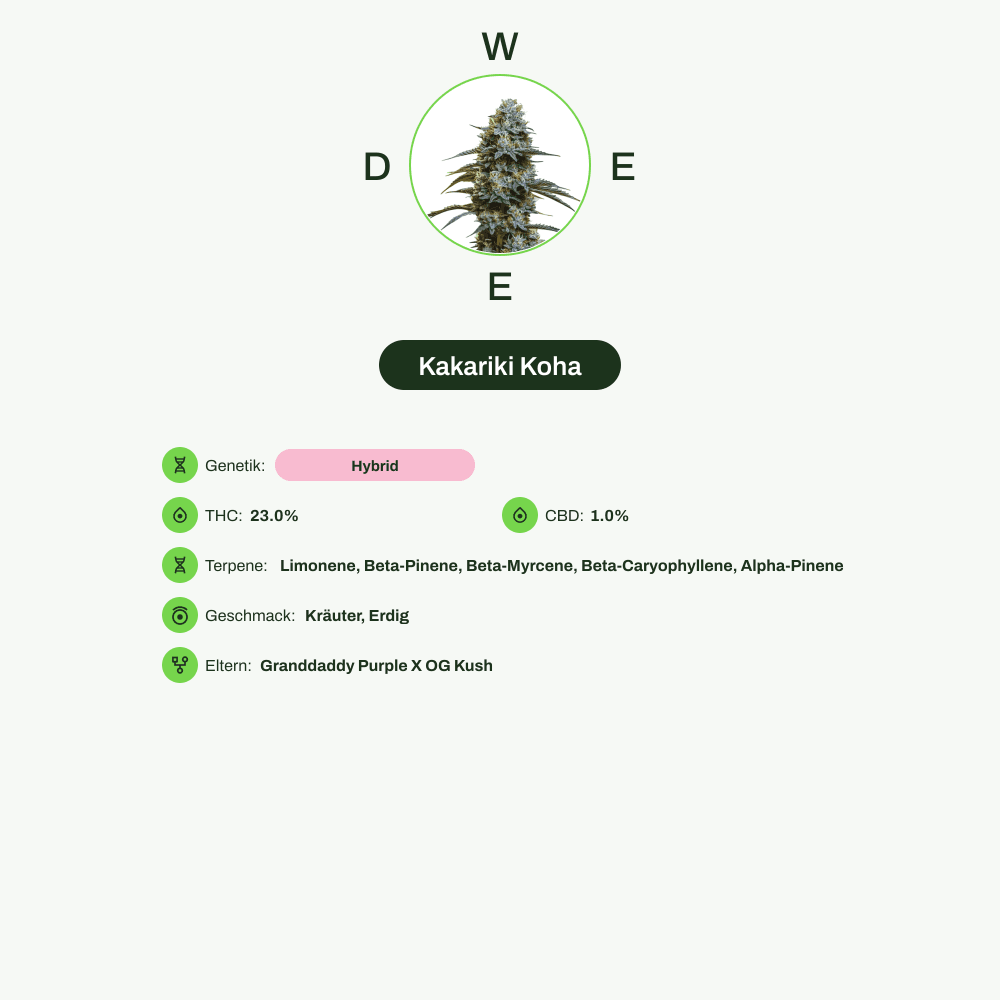 Infografik über THC-Gehalt, CBD-Gehalt, Terpene, Wirkungen, Geschmack von Kakariki Koha