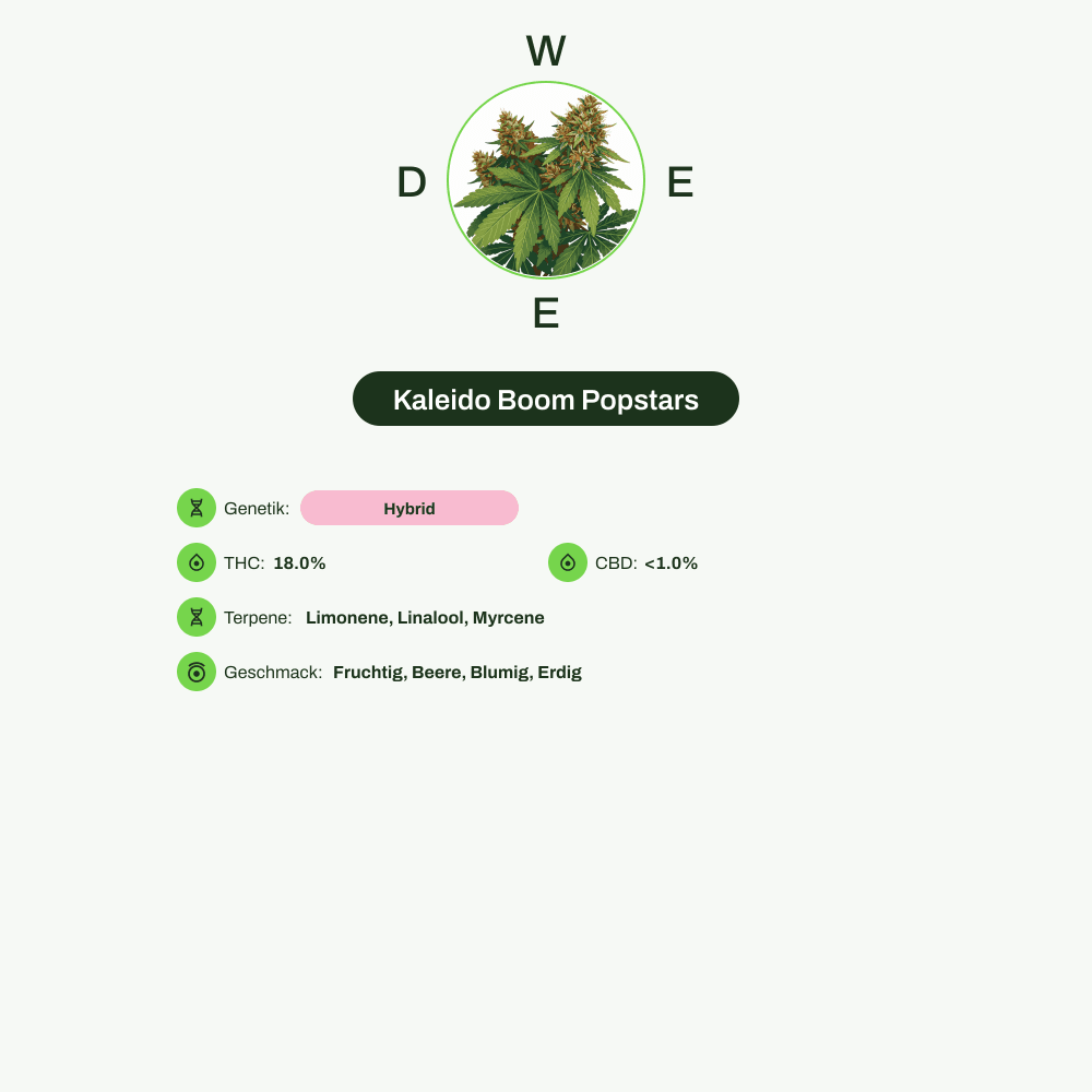 Infografik über THC-Gehalt, CBD-Gehalt, Terpene, Wirkungen, Geschmack von Kaleido Boom Popstars