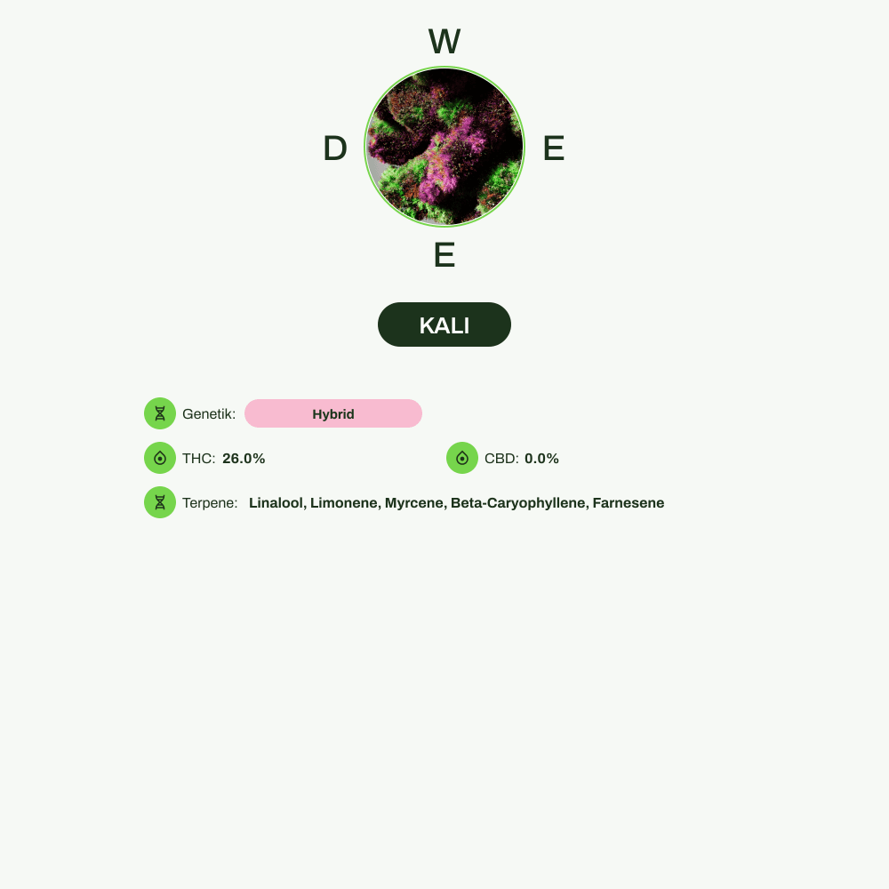 Infografik über THC-Gehalt, CBD-Gehalt, Terpene, Wirkungen von KALI