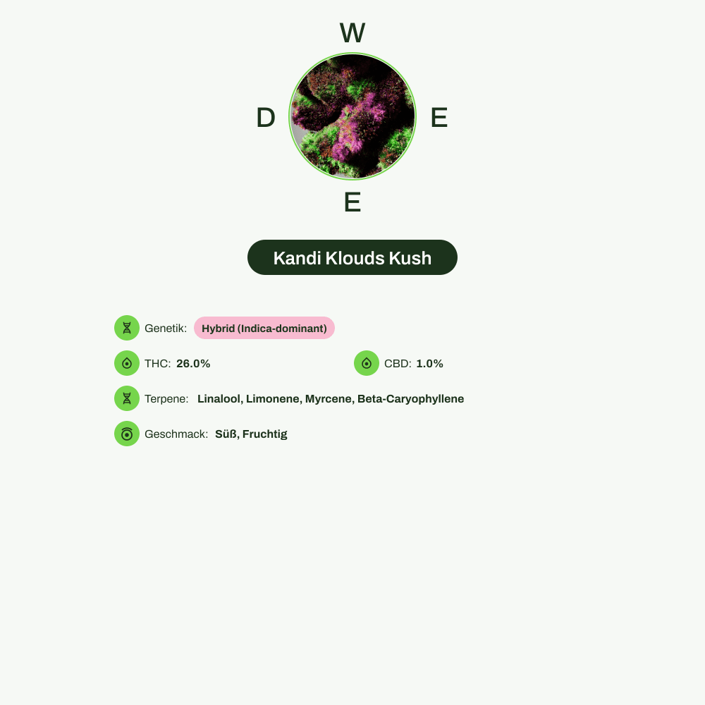 Infografik über THC-Gehalt, CBD-Gehalt, Terpene, Wirkungen, Geschmack von Kandi Klouds Kush