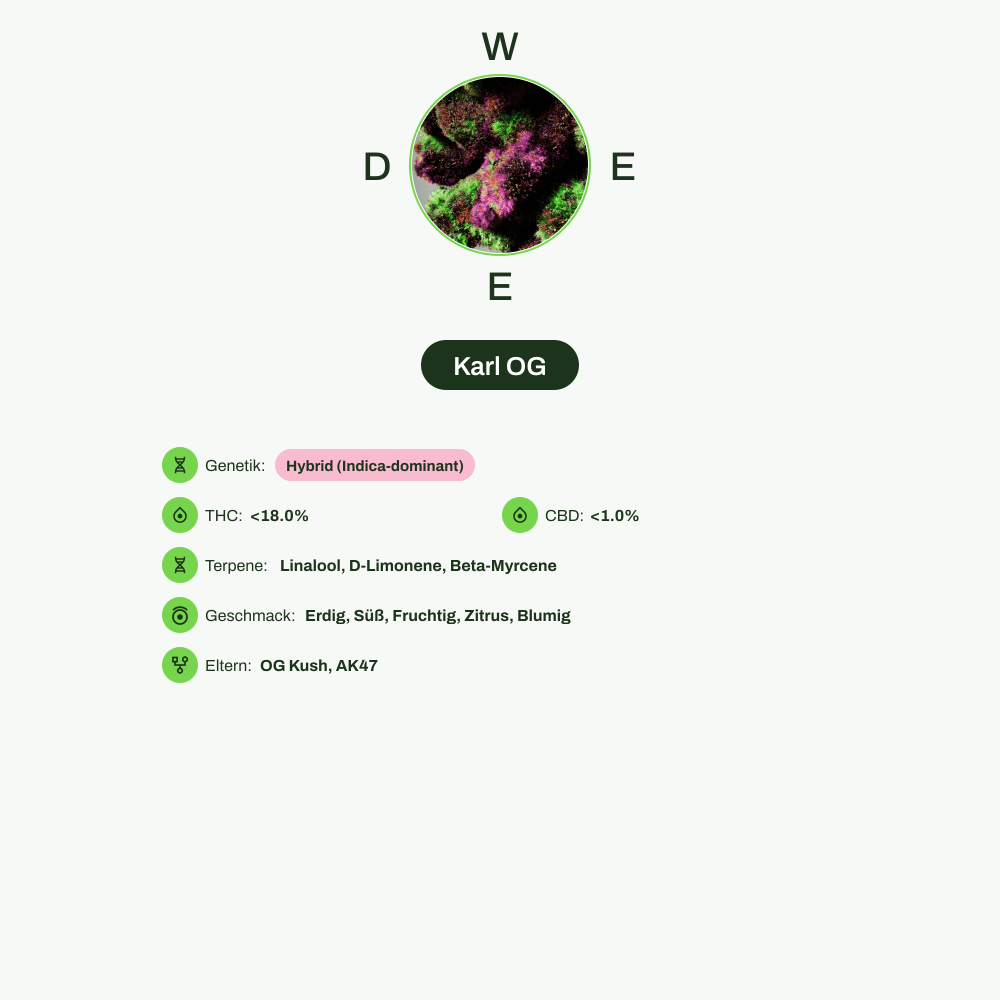Infografik über THC-Gehalt, CBD-Gehalt, Terpene, Wirkungen, Geschmack von Karl OG
